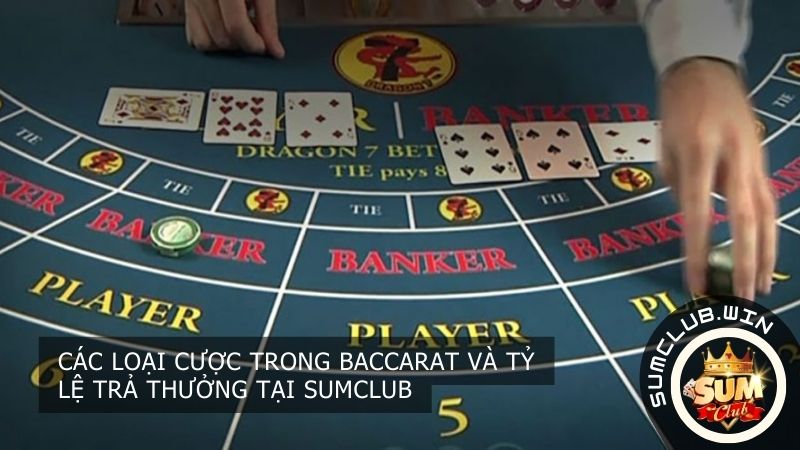 Các loại cược trong Baccarat và tỷ lệ trả thưởng tại SUMCLUB