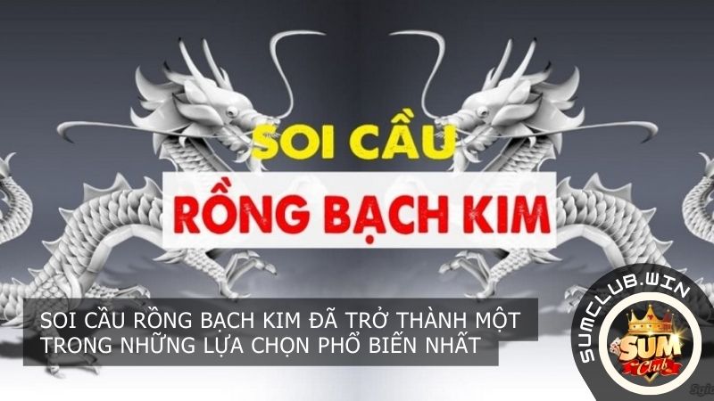 Soi cầu Rồng Bạch Kim đã trở thành một trong những lựa chọn phổ biến nhất
