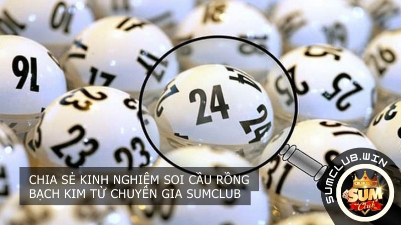 Chia sẻ kinh nghiệm soi cầu Rồng Bạch Kim từ chuyên gia SUMCLUB