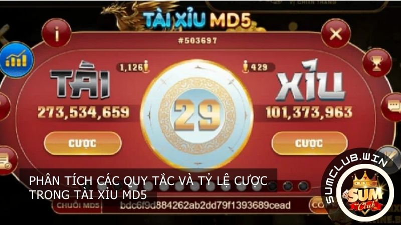 Phân tích các quy tắc và tỷ lệ cược trong Tài xỉu MD5 